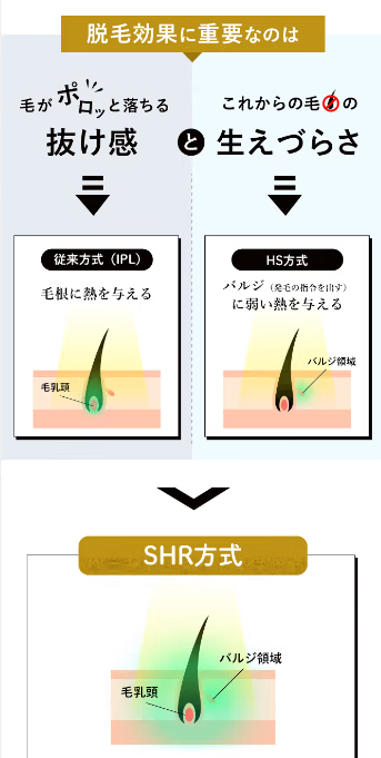 SnapCrab_NoName_2022-12-4_22-14-31_No-00