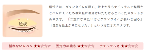 SnapCrab_NoName_2024-1-9_17-32-22_No-00