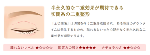 SnapCrab_NoName_2024-1-9_17-29-51_No-00