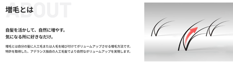 SnapCrab_NoName_2025-4-25_1-5-22_No-00