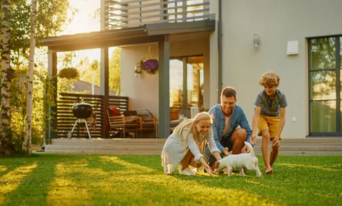 SnapCrab_NoName_2026-2-15_0-48-53_No-00