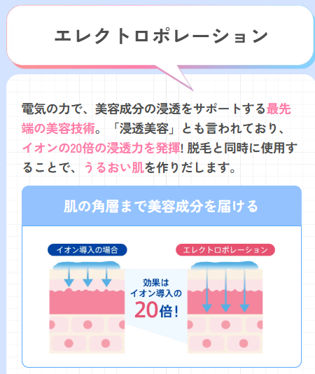 SnapCrab_NoName_2025-10-28_2-59-52_No-00