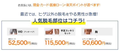SnapCrab_NoName_2021-10-15_12-47-59_No-00