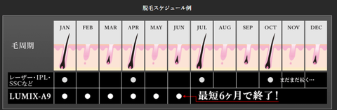SnapCrab_NoName_2020-12-3_22-24-40_No-00