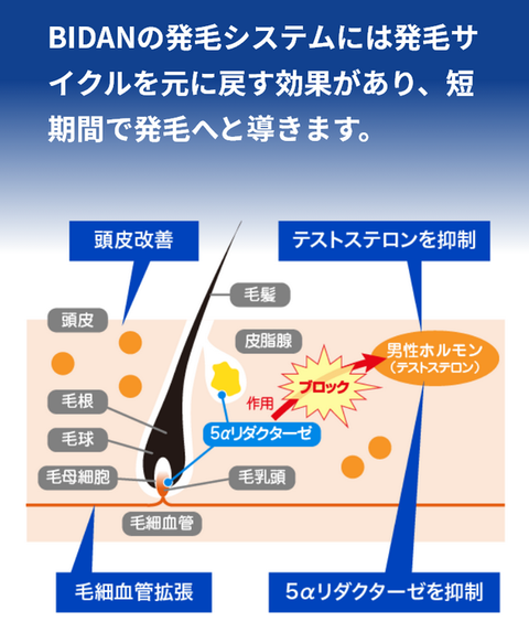 SnapCrab_NoName_2026-4-11_22-32-28_No-00