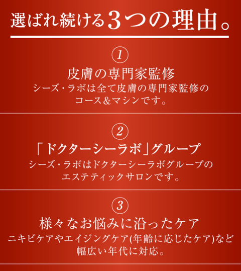 SnapCrab_NoName_2024-11-6_16-41-39_No-00