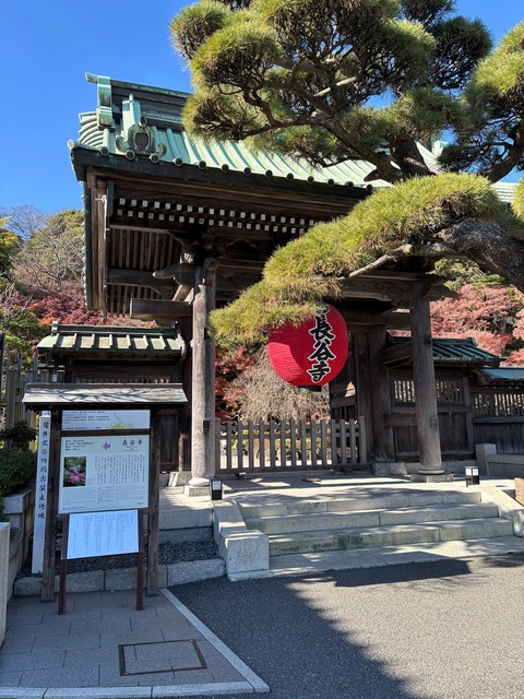 鎌倉3