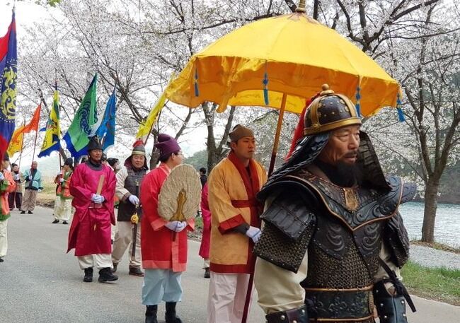 韓国人「桜の起源は韓国では無いのですか？」韓国には桜の花見をする文化が無く、済州ソメイヨシと日本のソメイヨシノは別物　韓国の反応