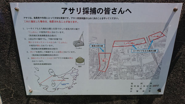 マリナタウン海浜公園から室見川河口へ無料の潮干狩り K家の気まぐれブログ