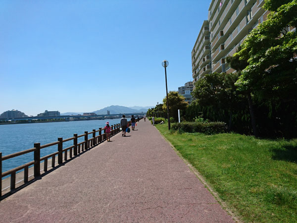 マリナタウン海浜公園から室見川河口へ無料の潮干狩り K家の気まぐれブログ マリナタウン海浜公園から室見川河口へ無料の潮干狩り K家の気まぐれブログ