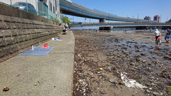 マリナタウン海浜公園から室見川河口へ無料の潮干狩り K家の気まぐれブログ