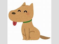 犬はあの不味いカリカリでも飯の時間になると飛び跳ねて喜ぶからかわいい