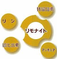村岡さんの味付け海苔が完成　鉄分とミネラルが豊富