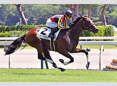 悲報】3冠牝馬リバティアイランド、予後不良のため安楽死　競馬界に大きな衝撃と悲しみ広がる