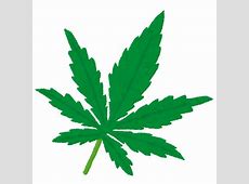 ボーカルが大麻所持で逮捕の人気バンド　活動再開を発表「お叱りを受ける事もあるかと思いますが…」