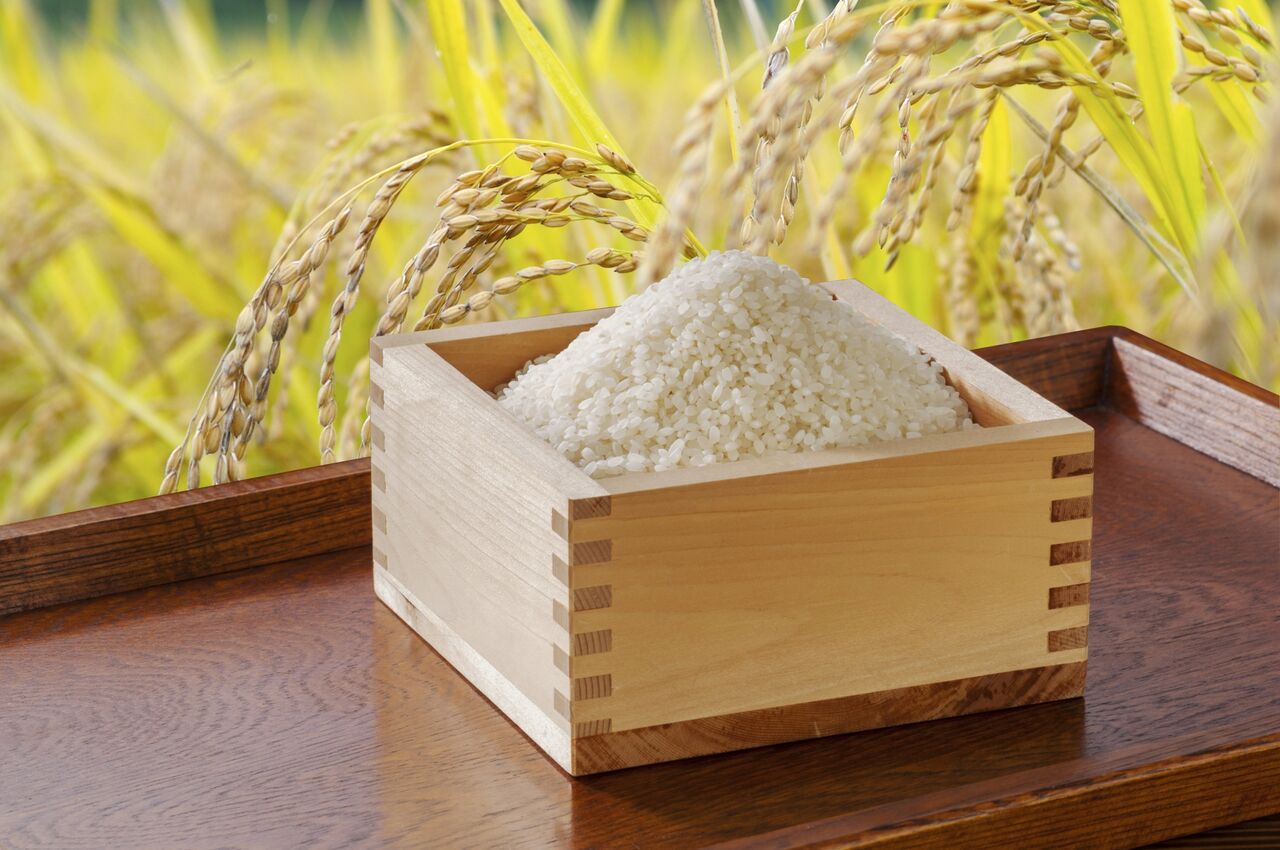 【悲報】コメが品薄、価格が高騰なんだってさ