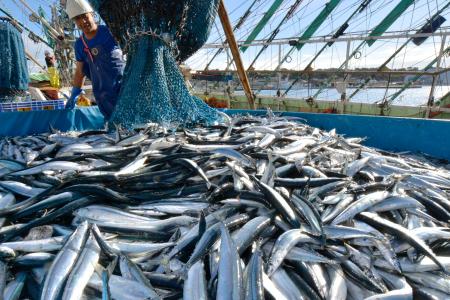 【怒り】共産党市議「福島で取れた魚は食べたくない」　議会で問題発言　取材に謝罪