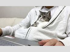 【悲痛】『もちまる日記』活動休止　「飼い主による虐待疑惑」でファン騒然…動画に映った壮絶な現実とは