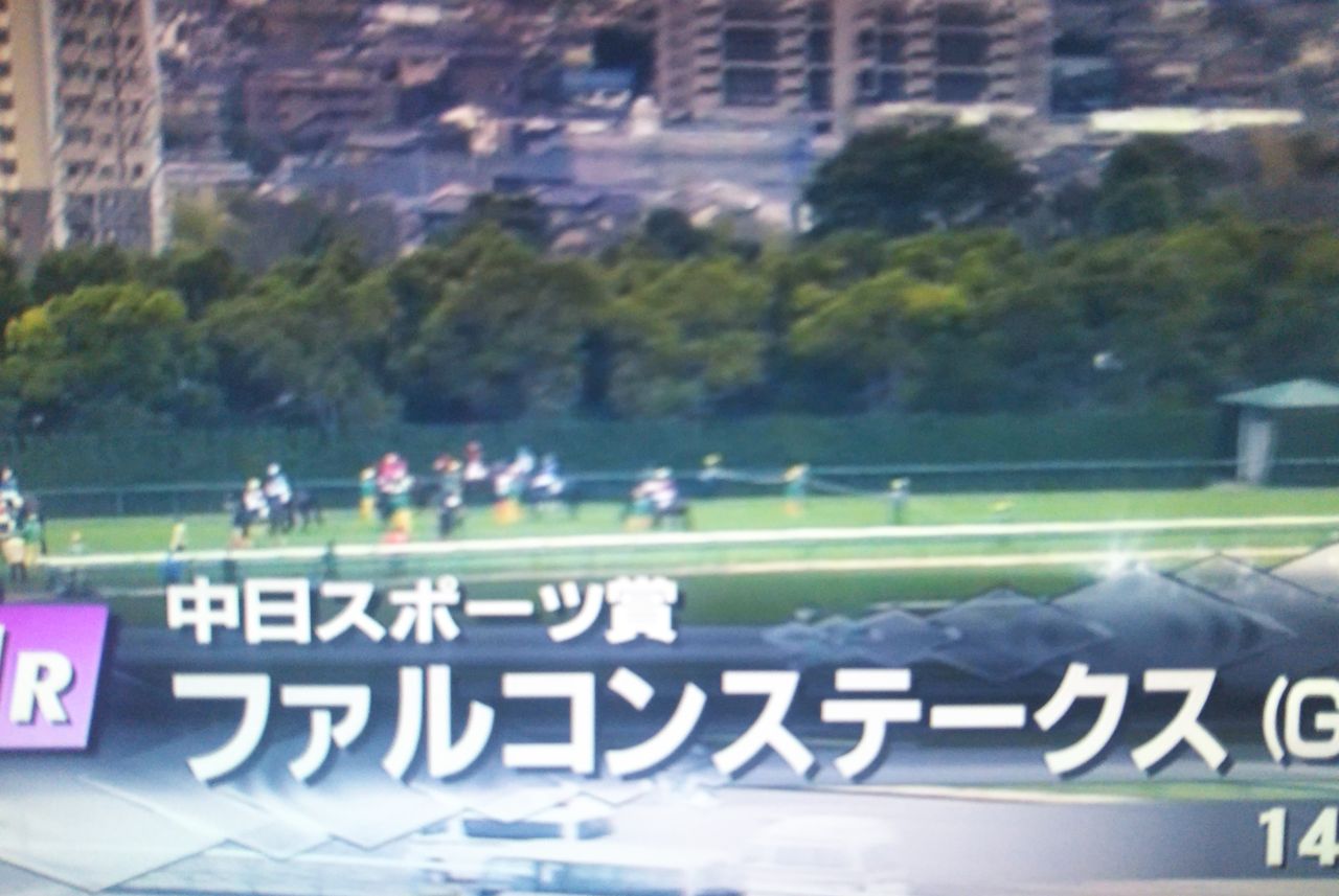 ファルコンst g 中京 阪神11rの 生計勝負生活 馬券シュミレーションの結果です 追求 投資生活 jra 競艇編 ファルコンst g 中京 阪神11rの 生計勝負生活 馬券シュミレーションの結果です 追求 投資生活 jra 競艇編