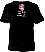 asian t-shirt2
