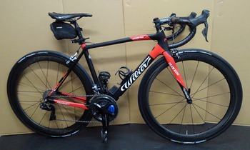 2019.11.9 明日のレース 相棒