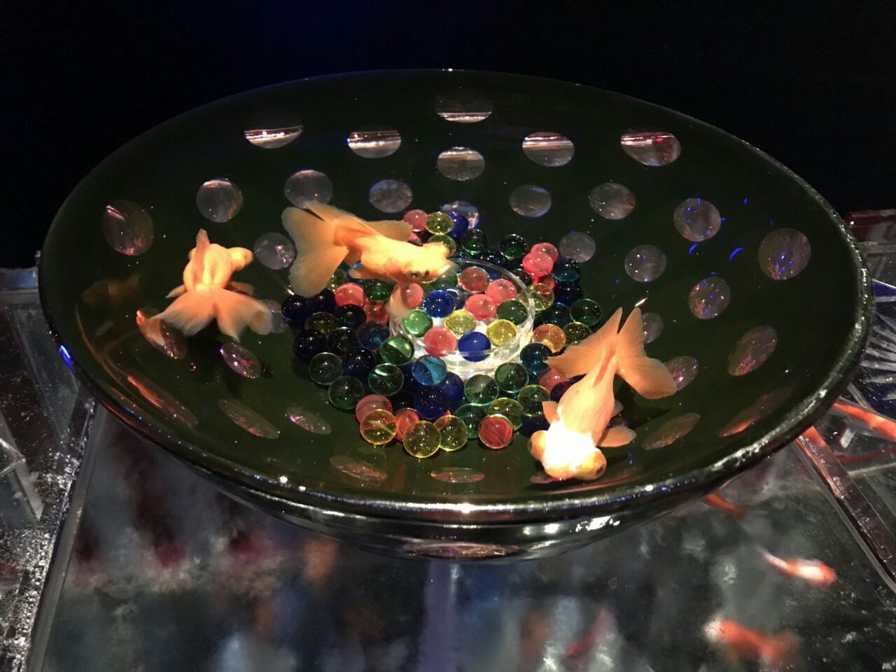 放送のお知らせと アートアクアリウムで金魚鑑賞 From Yuki 放送のお知らせと アートアクアリウムで金魚鑑賞 From Yuki