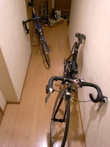 マドンとポケロケ