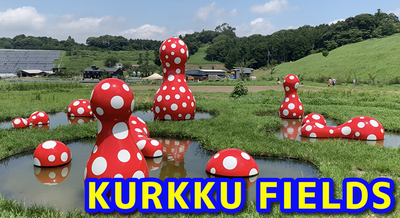 CLMCxsuOLTjUWFy1626766693_1626766919