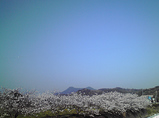 20090409�̶�8