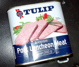 20090118pork