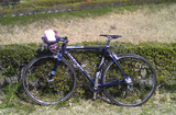 Madone��������