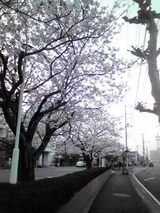 20090409�̶�1