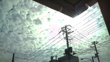 20101016うろこ雲