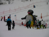 20100123NASPA2