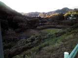 20081119�̶�