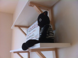 20111223黒猫3