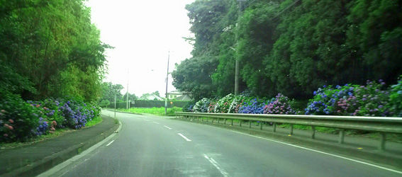 20100625��������������