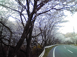 20090409�̶�7
