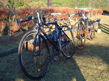 20081123�ޥɥ�