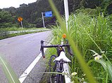 20080628���
