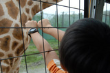 20090813那須サファリパーク1