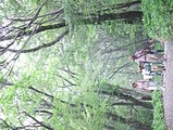 自然散策路