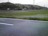 20090530ƻ
