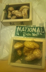 20101017����