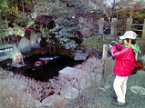 20090201神社1