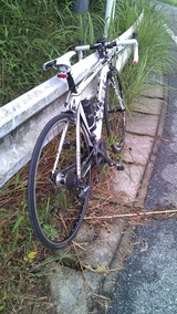 20100624鹿野山