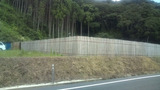 20100920-3