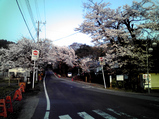 20090409�̶�4ʡ��