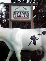 20081204VENTO2