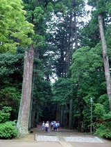 2008あじさいお寺1